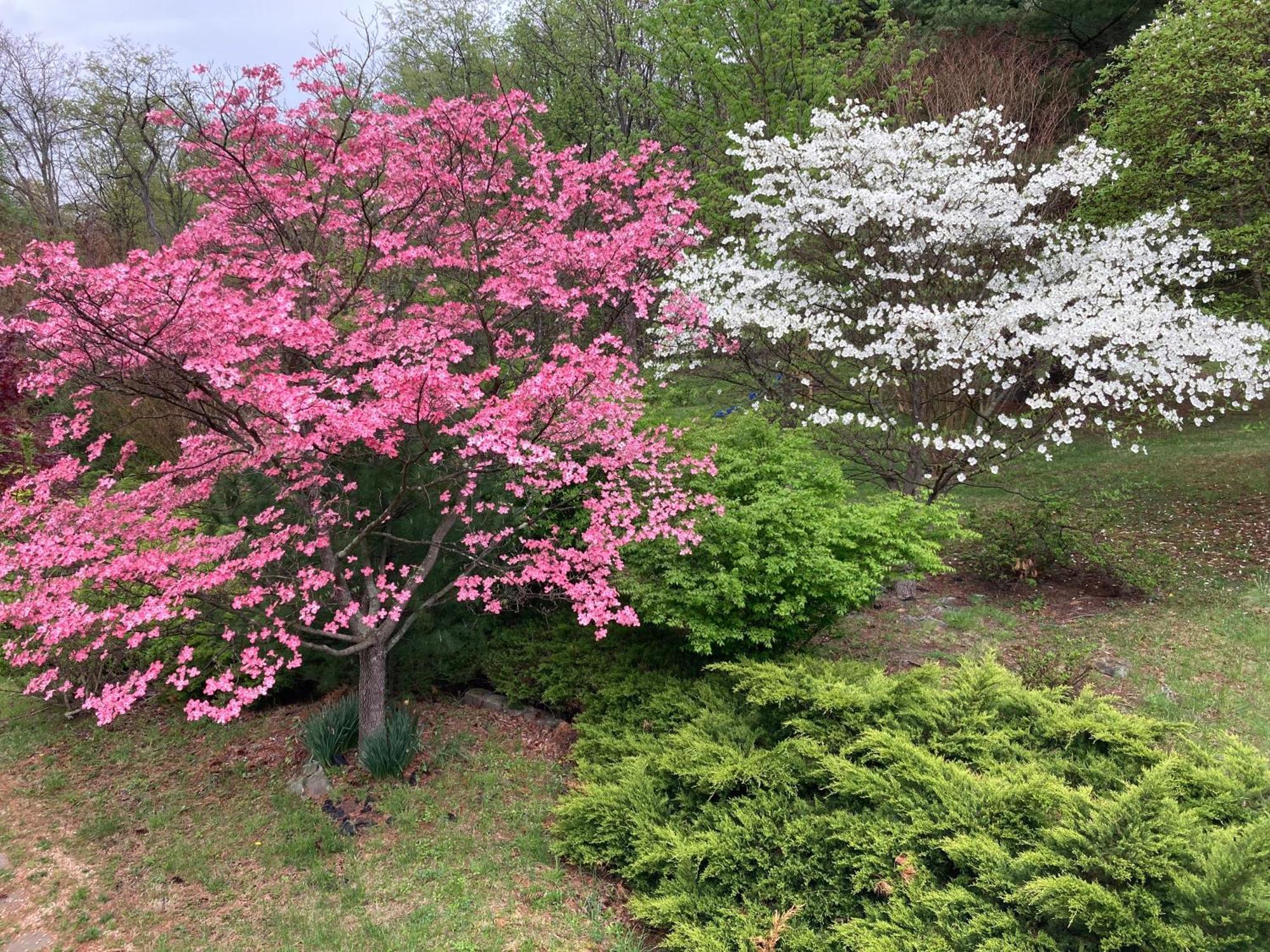 Purcellville Home Dış mekan fotoğraf