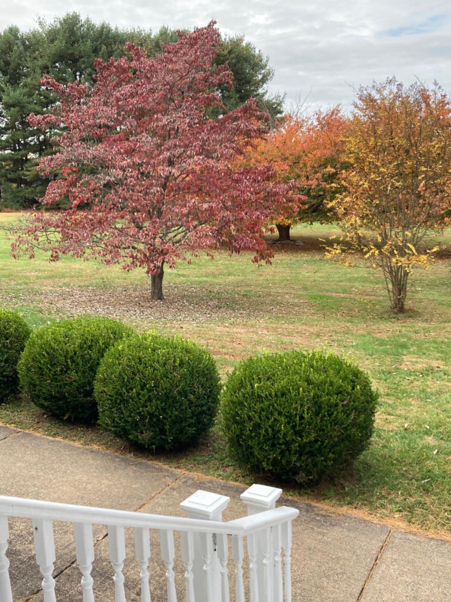 Purcellville Home Dış mekan fotoğraf