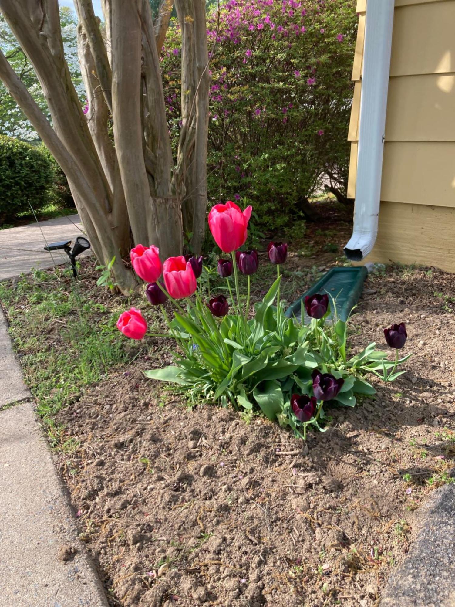 Purcellville Home Dış mekan fotoğraf