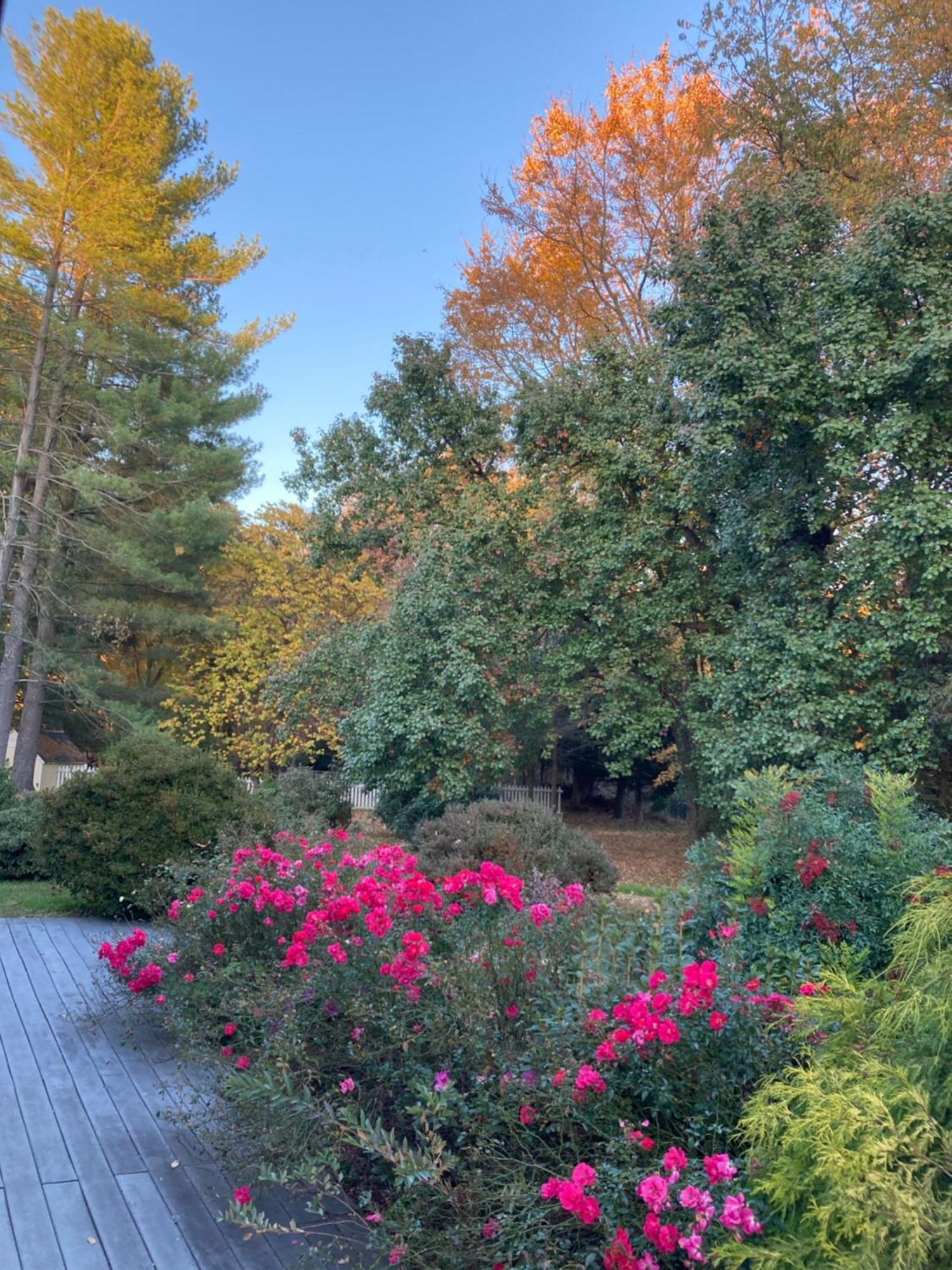 Purcellville Home Dış mekan fotoğraf
