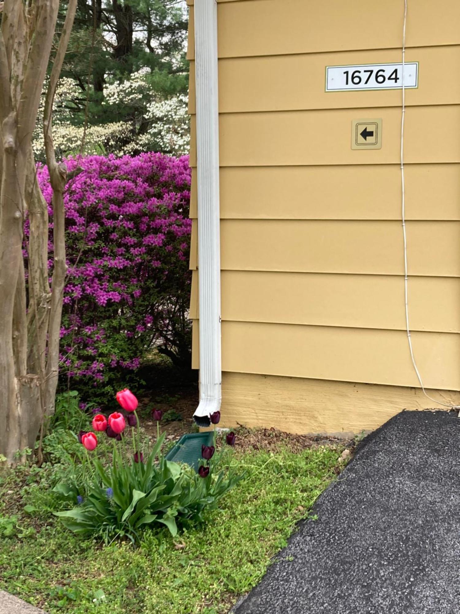 Purcellville Home Dış mekan fotoğraf