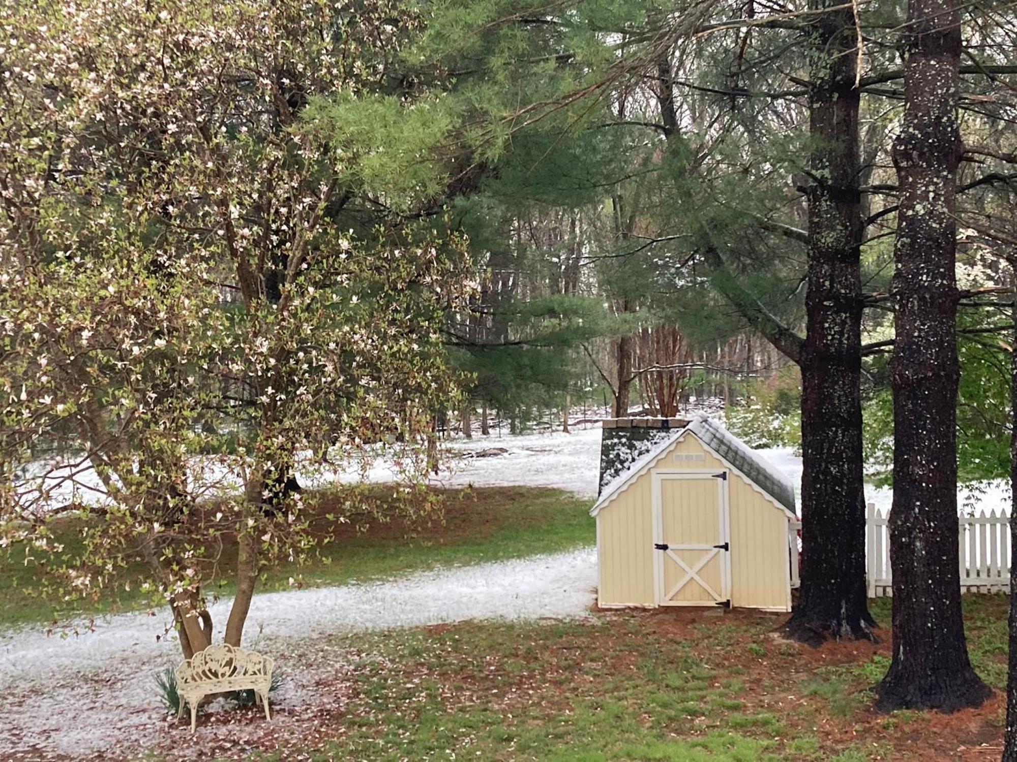 Purcellville Home Dış mekan fotoğraf